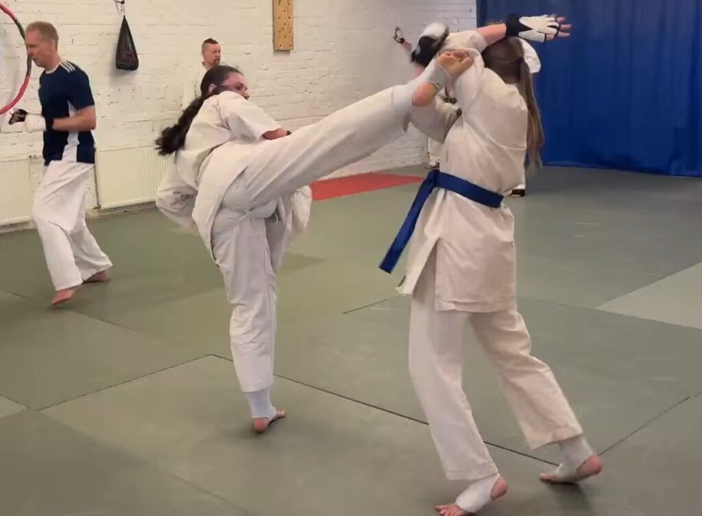 kumite potku päähän