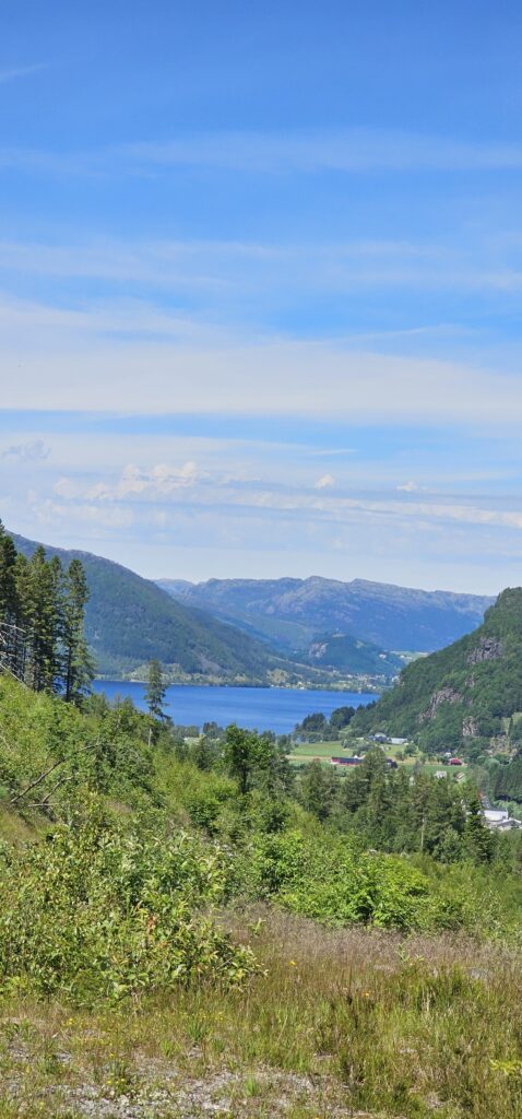 Maisema