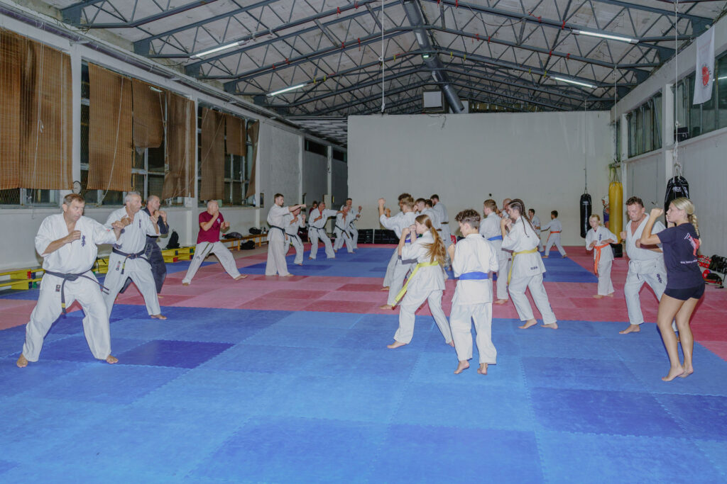 Dojo training