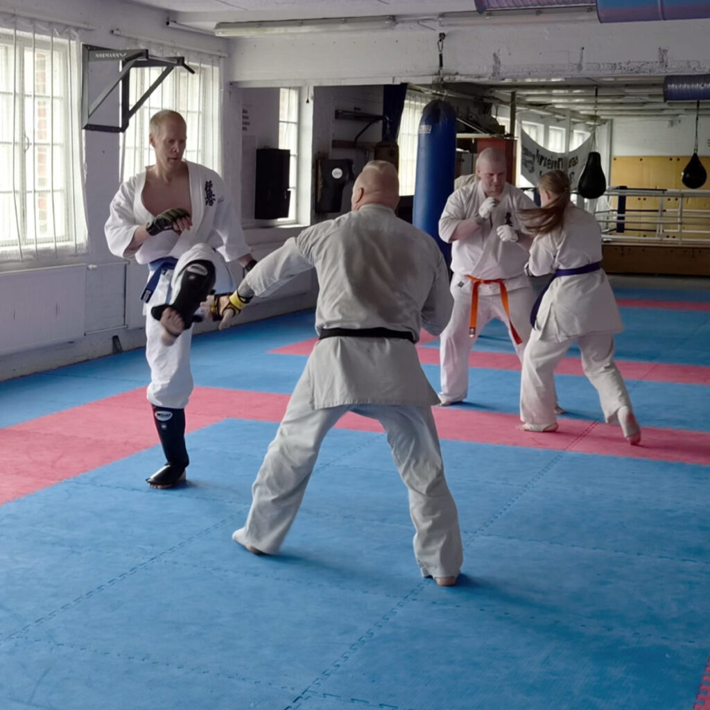 Kumite / sparri