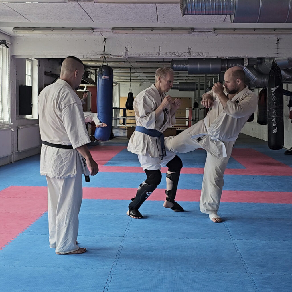 Partner training